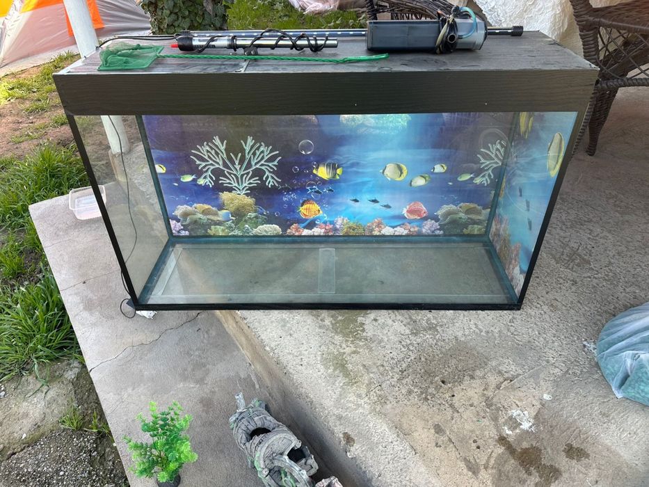 Аквариум большой