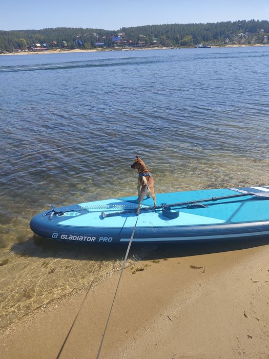 Ищем девочку для вязки