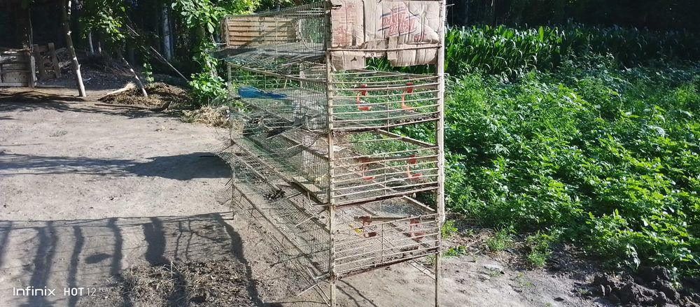 Бедана кафас сотилади 400 йоки 500та бедана бокса болади Темир хаммаси