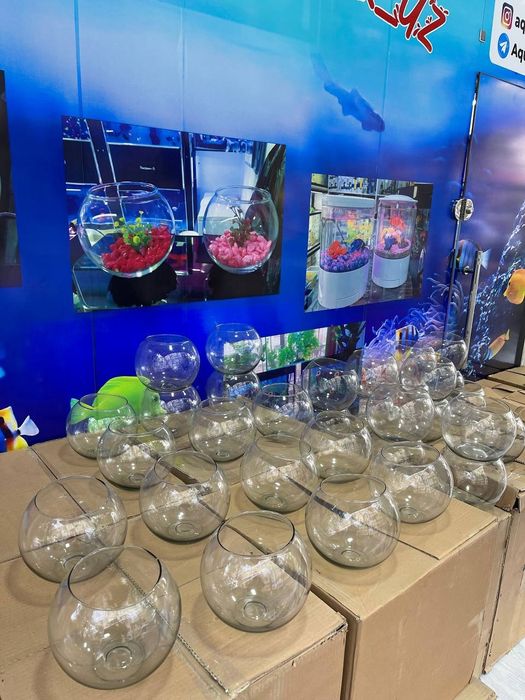 Akvarum va baliq magazin