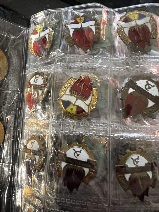 Colecție Insigne Comuniste RSR - Pionieri,