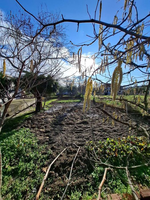 Продава се парцел с площ 250 м2 в кв. Ривиера, Аспровалта, Гърция