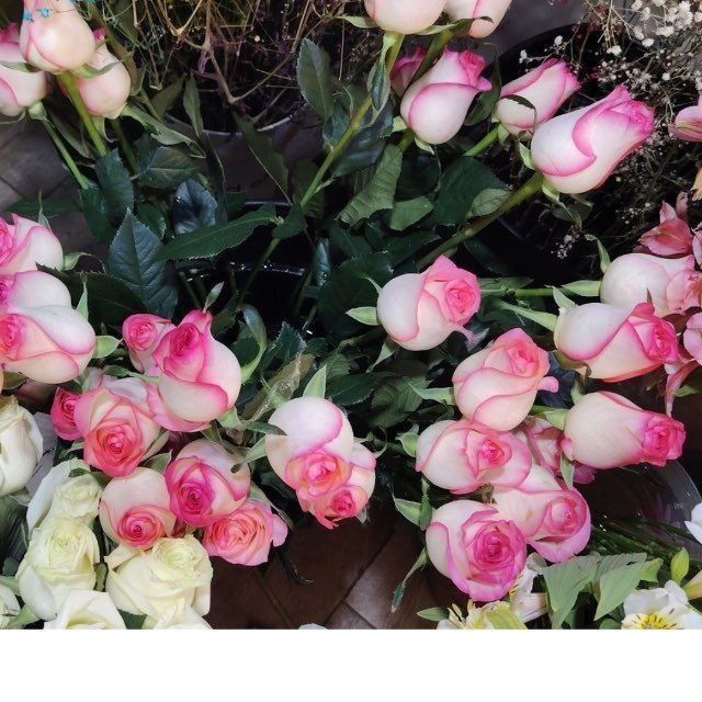 Атиргул ку'з ку'чатлари дехкончилик