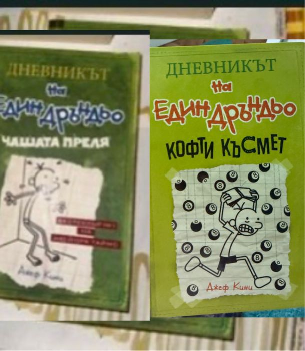 Дневникът на един дръндьо