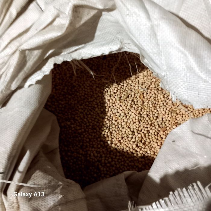 Mazare selectata 2025