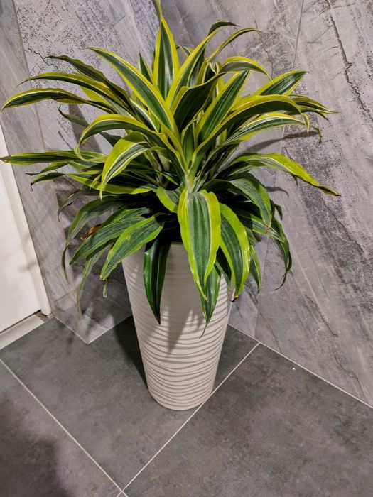 Подарки для близких. Доставка