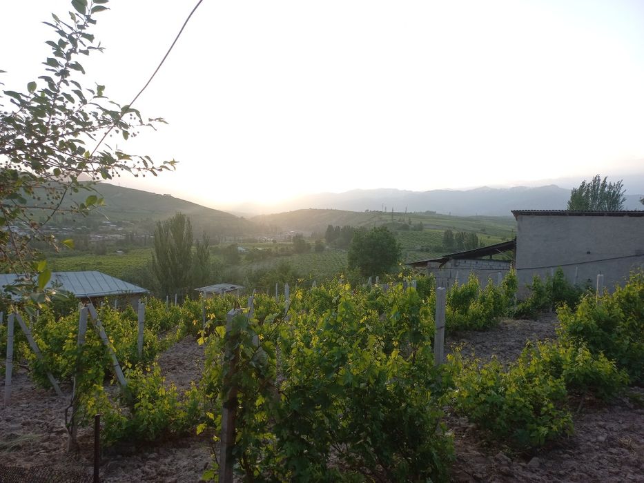 Шпаллер форсунка ишонч