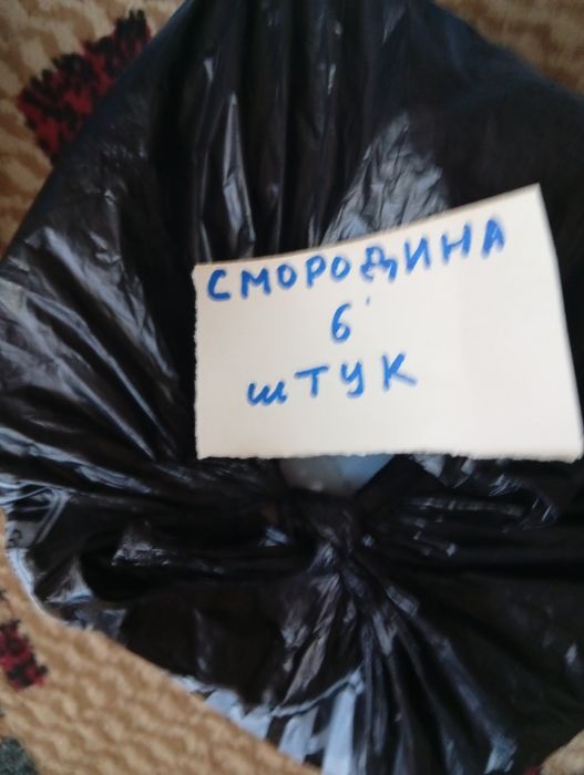 Продам не дорого