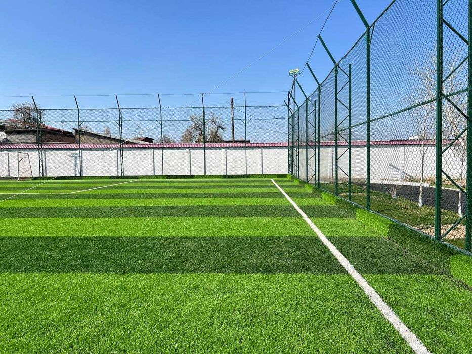 Toshkent shaxri bo'ylab stadion xizmatlari