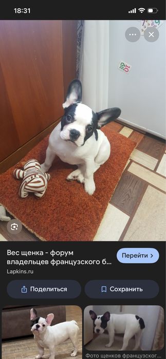 Возьму или куплю не дорого