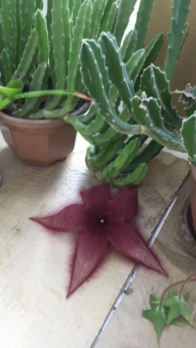 Bluetooth aux. Высшее качество