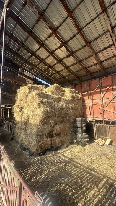 Прес сено шөп рулон