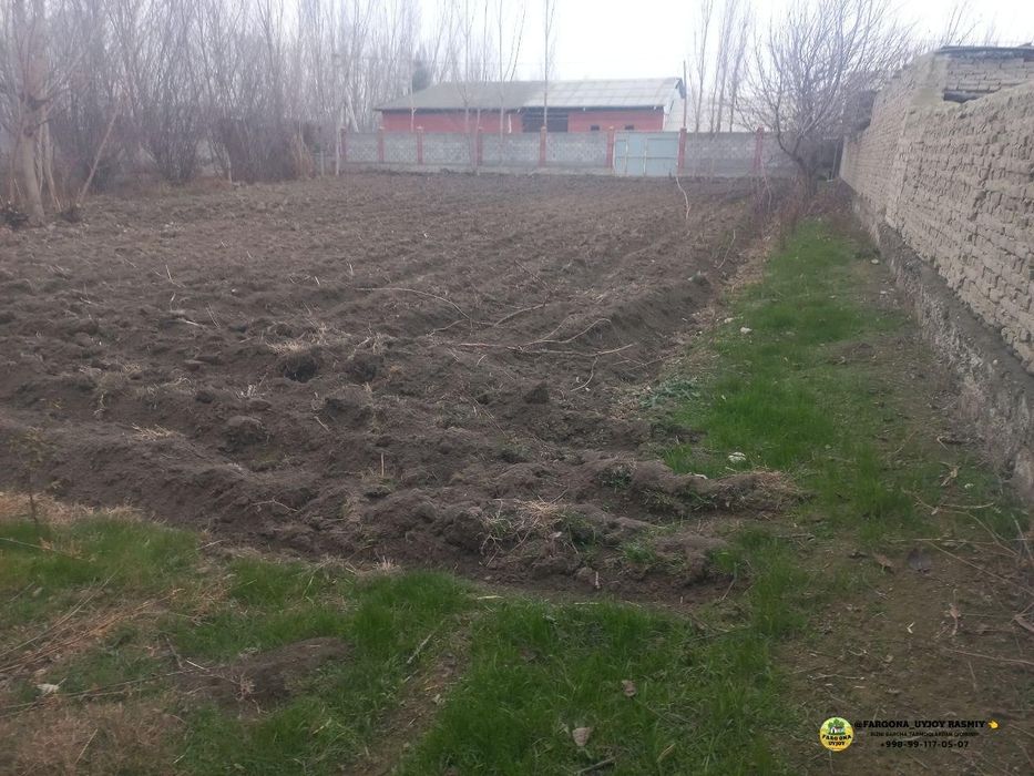 Toshloqda 10 sotx chek sotladi