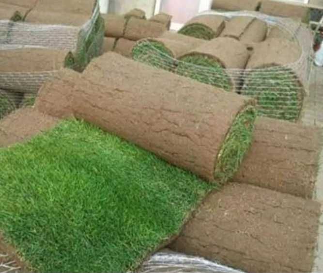 Gazon Rulou Sisteme de Irigare