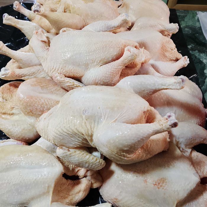 Продам броллеров
