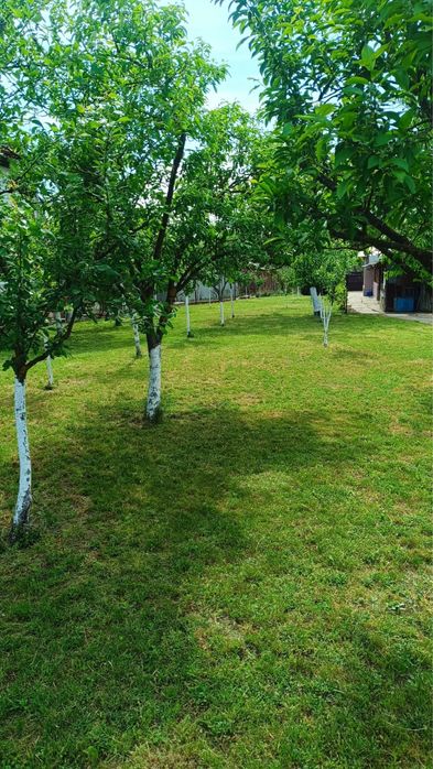 Casa La Dridu Ialomita