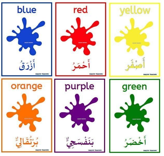 Arab tili fonetikasi va boshlang'ich grammatika