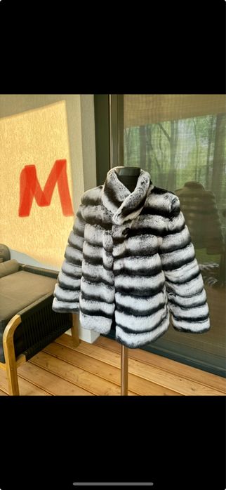 Vand blana din Chinchilla rex la 1200 lei