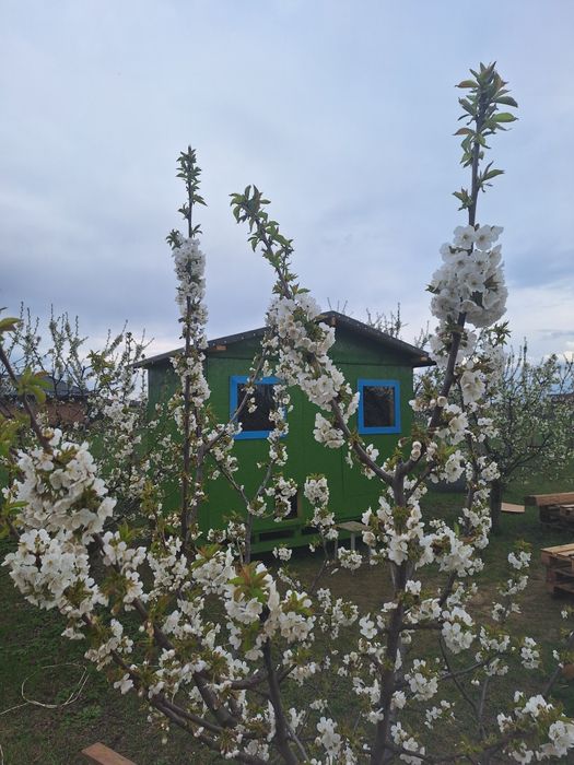 Teren intravilan 520mp – Vorovești, 85 € mp  | Zonă liniștită,