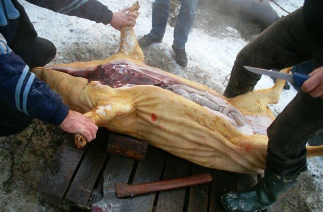 Домашнее мясо свинина