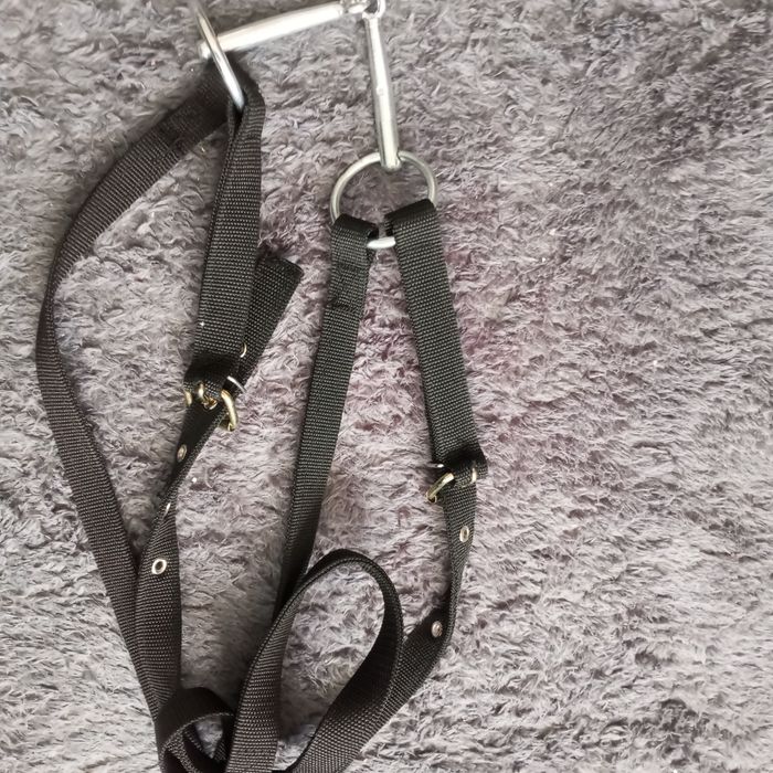 Уздечка для лошади