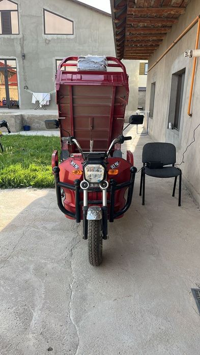 Муравей матциклл