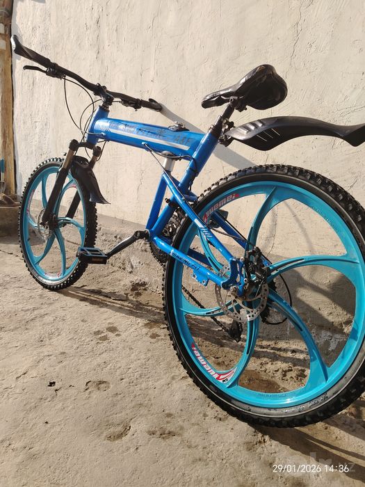Velik 2024 xolati Zoʻr
