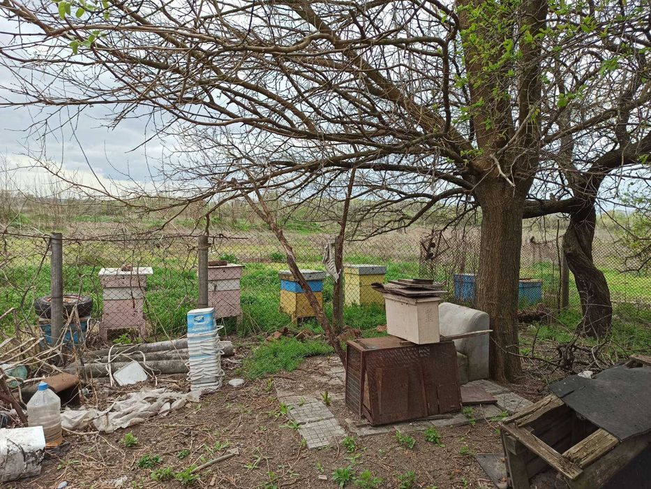 Продава се Къща в Хасково, Орфей - 65 кв.м за 431 €/кв.м - Снимка #6