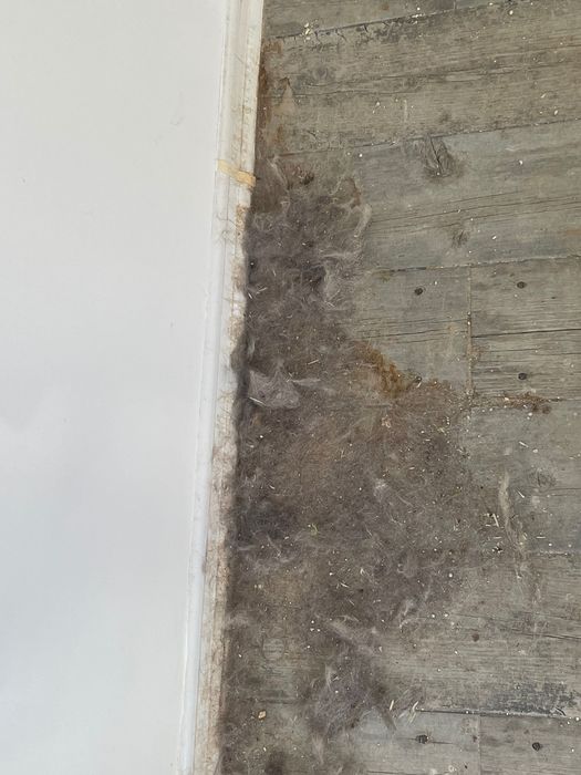 Servicii profesionale de curățenie