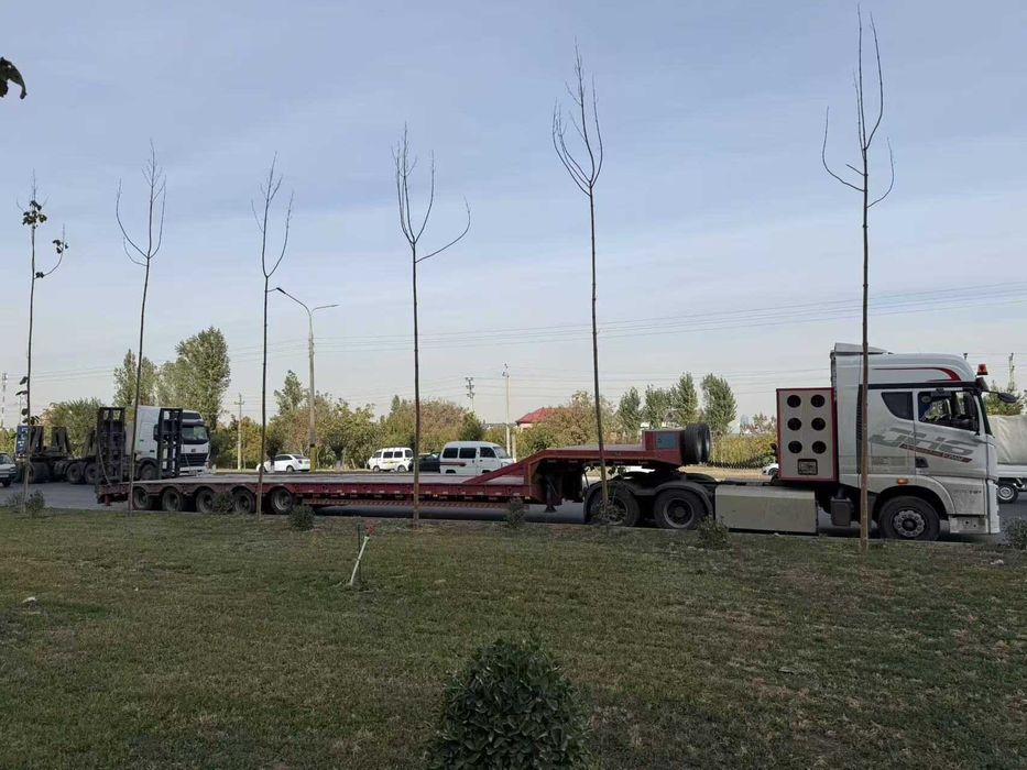 trall/traile/treller