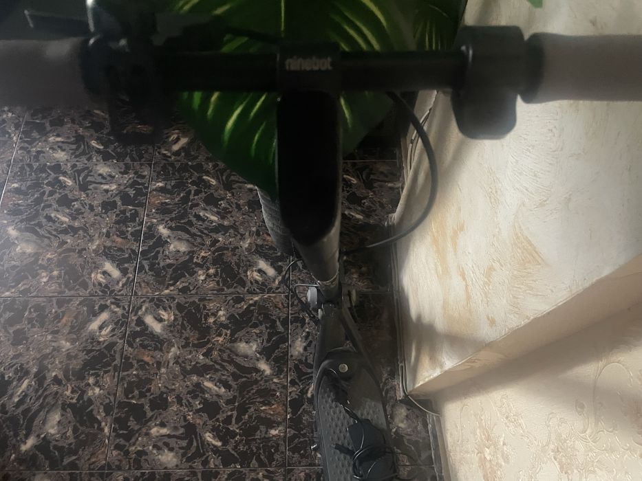 Trotineta ninebit segway