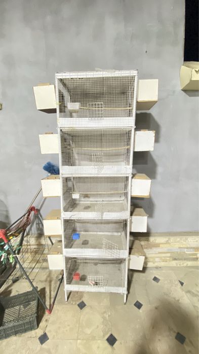 Sotiladi tayor valer