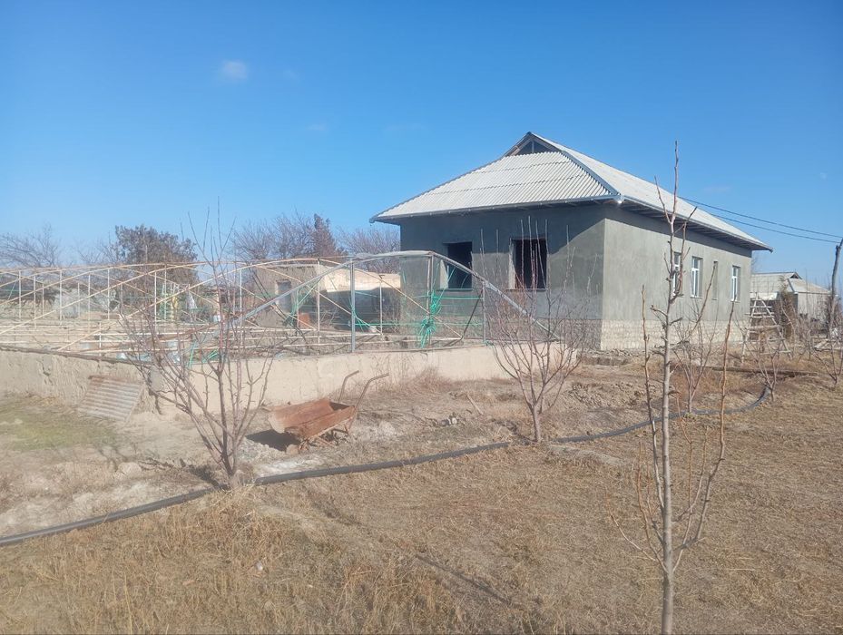 Hovli joy tomorqasi va xoʻjaligi bilan