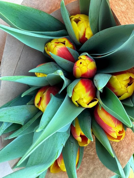 Предзаказ тюльпанов к 8 марта