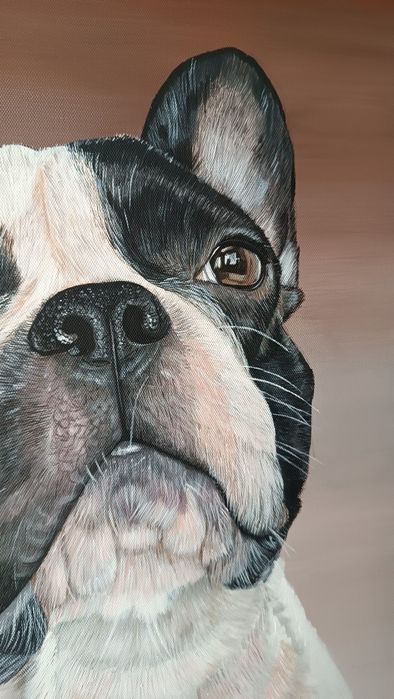 Портрет питомца по фото. На заказ