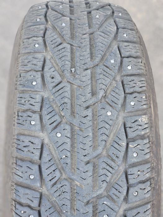 Зимние шины Tigar