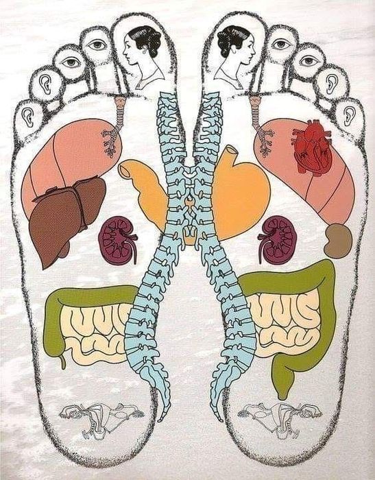 R e f l e x o t e r a p i e