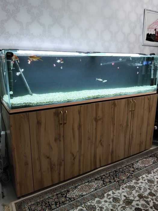 Аквариум сатылады