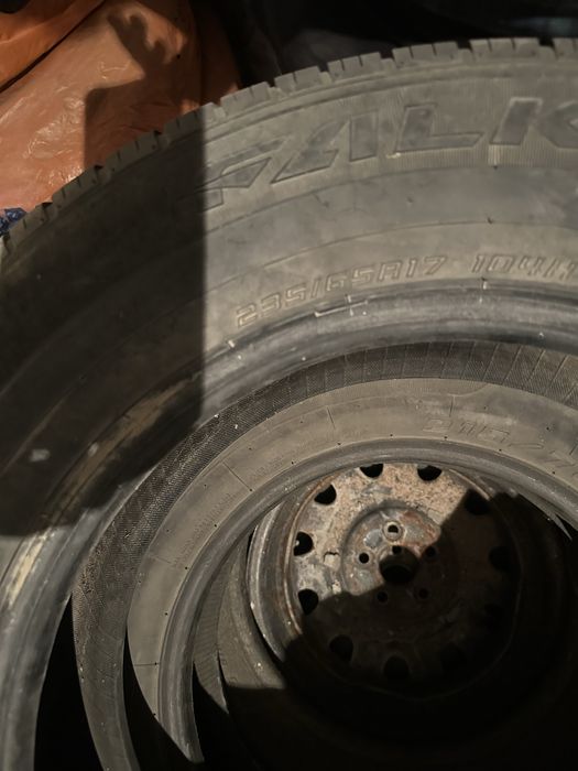 Шины разных видов