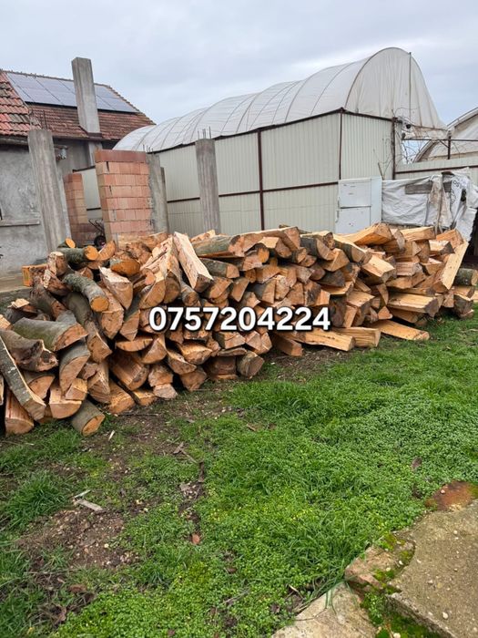 Lemn de foc 300 lei metrul ster, cantitate minimă de 8 metri