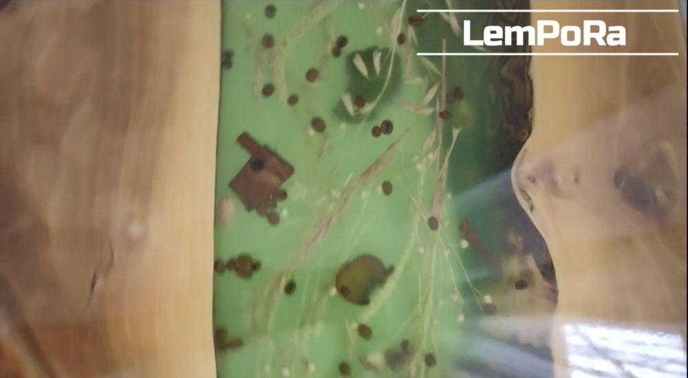 Măsuță de cafea UNICAT