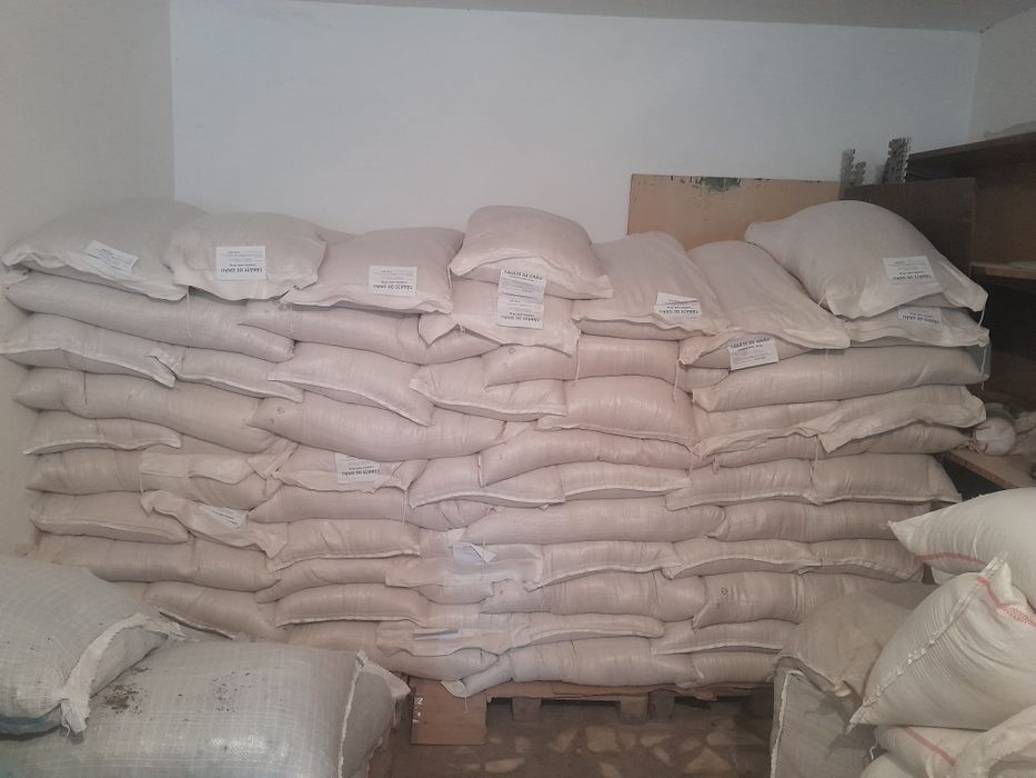 Vindem tarate grau .