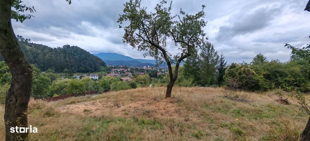 Teren intravilan cu vedere panoramica Sacele, Brasov