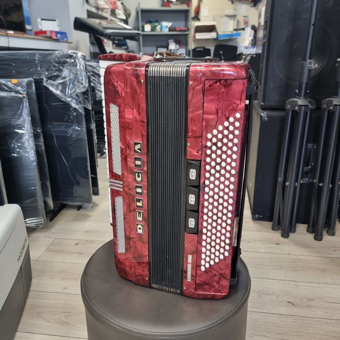 Amanet F28: Acordeon Delicia XIV 120 BASI (N)