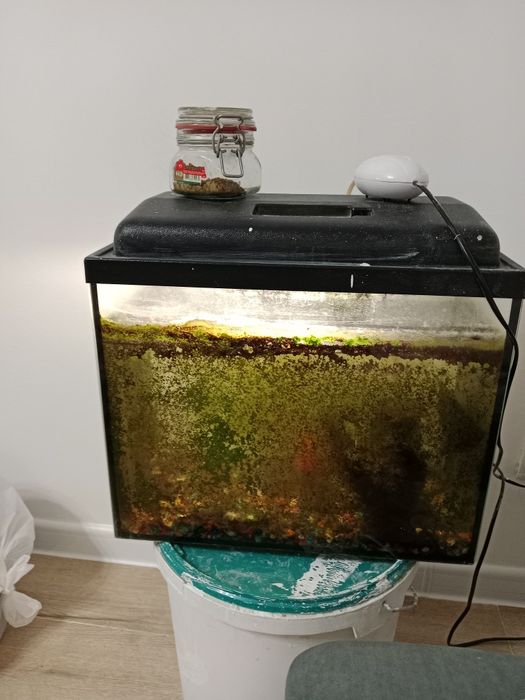 Отдам даров аквариум с рыбками