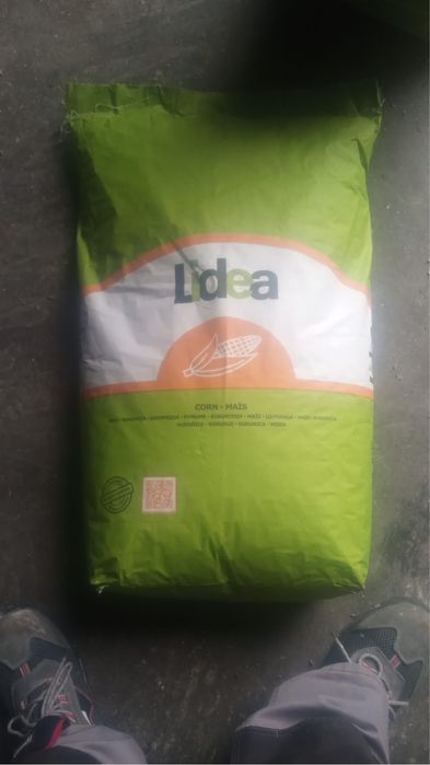 Samanta Floare si porumb 2026