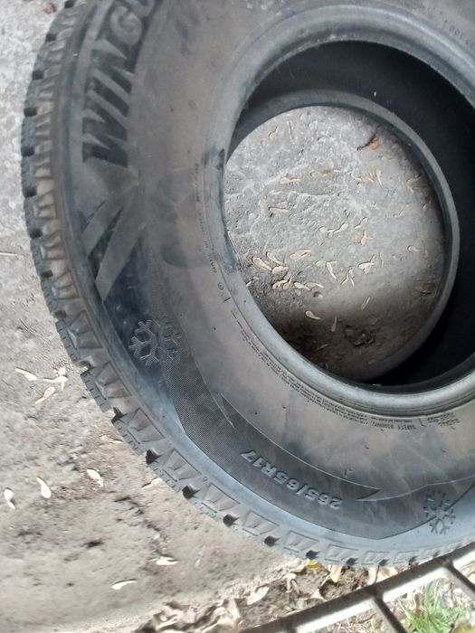 Зимные шины с шипамы