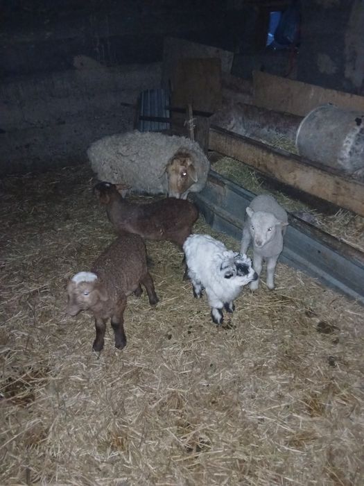 Срочно продам оптом