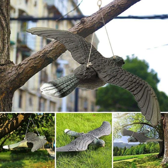 Sperietoare pasari soim in marime naturala repelent pentru porumbei