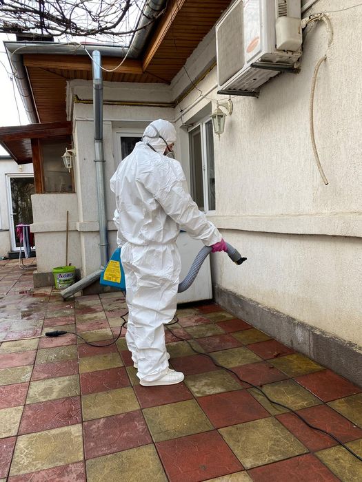 Dezinsecție ploșnițe garanție 100%